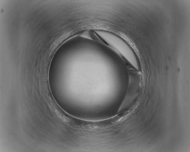 X0000081310481200701251747