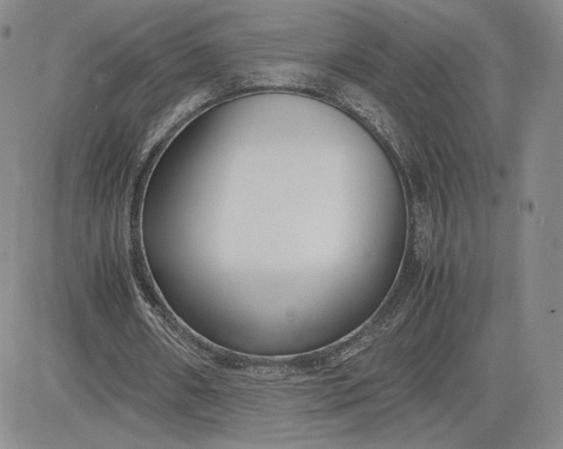 X0000081310482200701251747