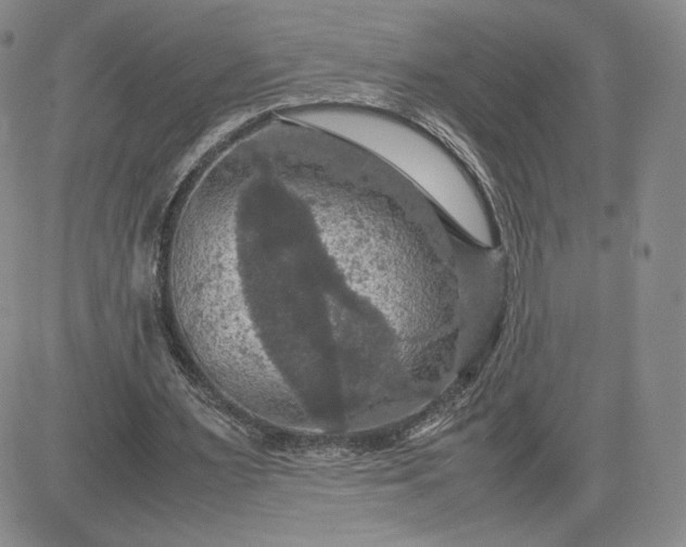 X0000081310483200701251747