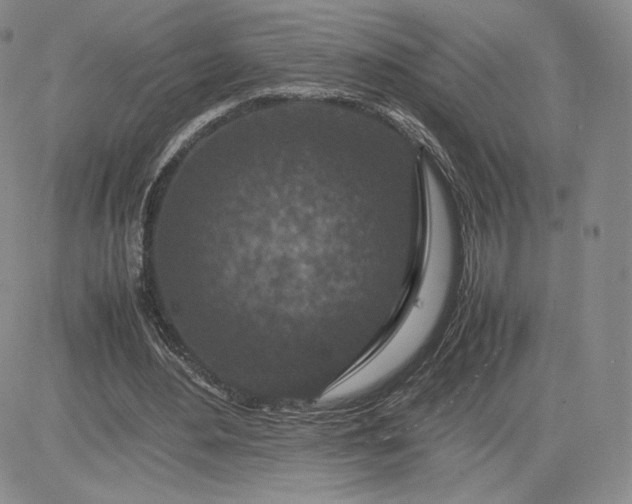 X0000081310484200701251747