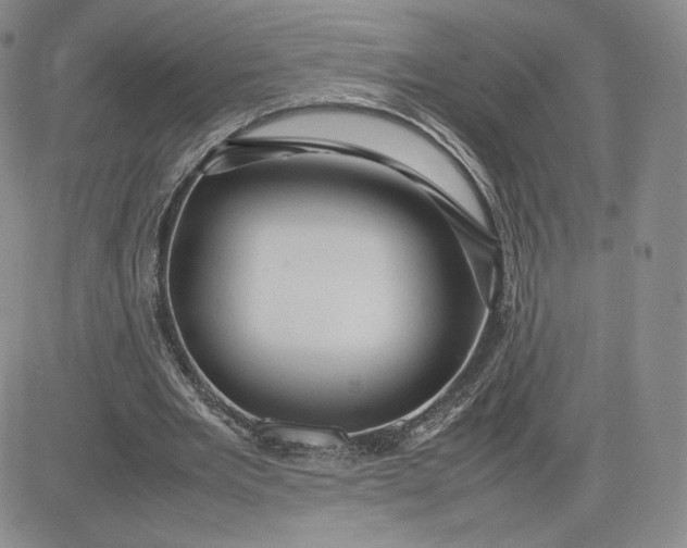 X0000081310485200701251747