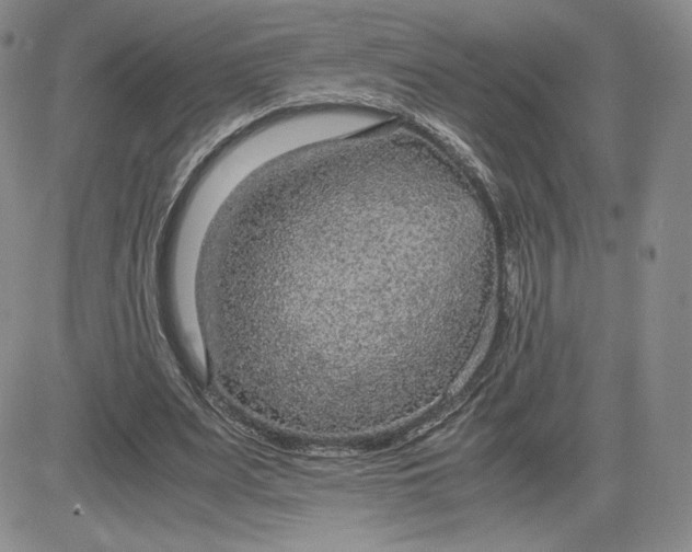 X0000081310487200701251747