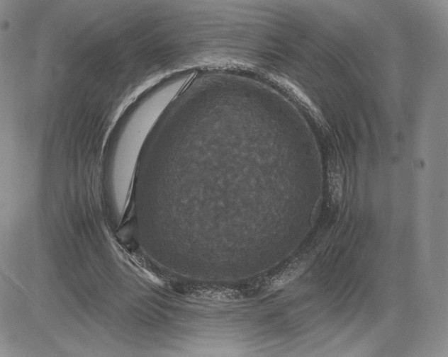 X0000081310488200701251746