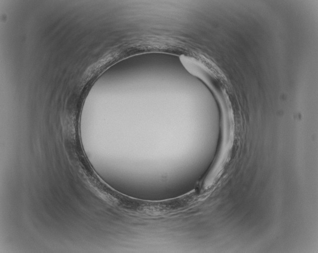 X0000081310489200701251746