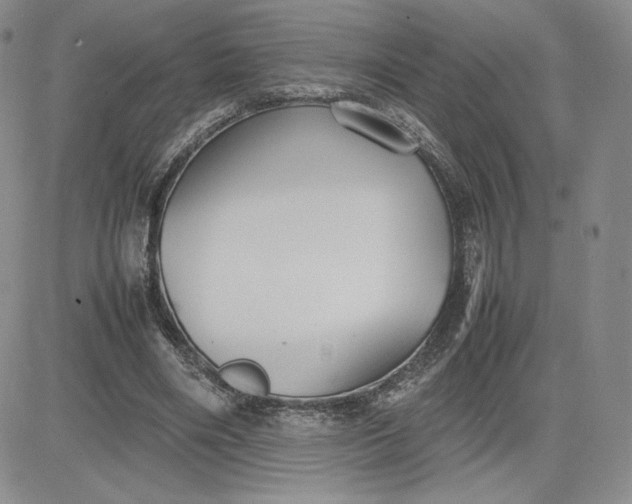 X0000081310490200701251746