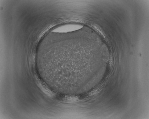 X0000081310491200701251746