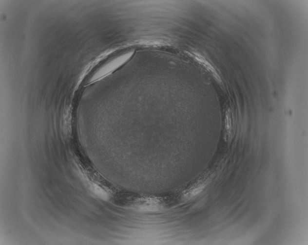 X0000081310492200701251746