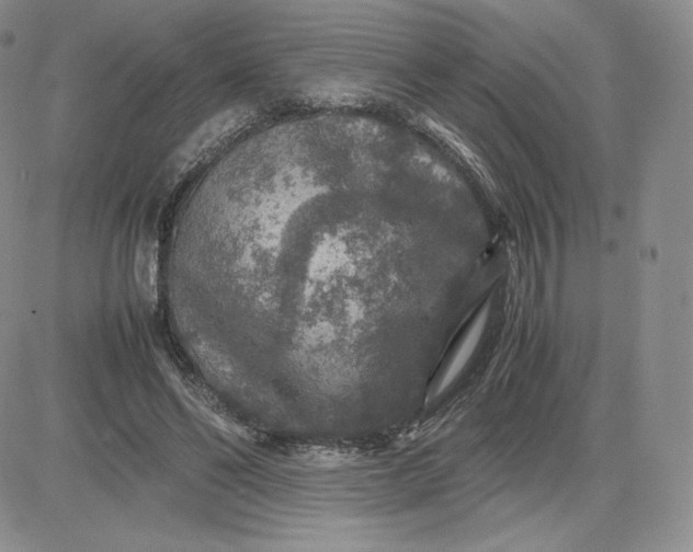 X0000081310494200701251746