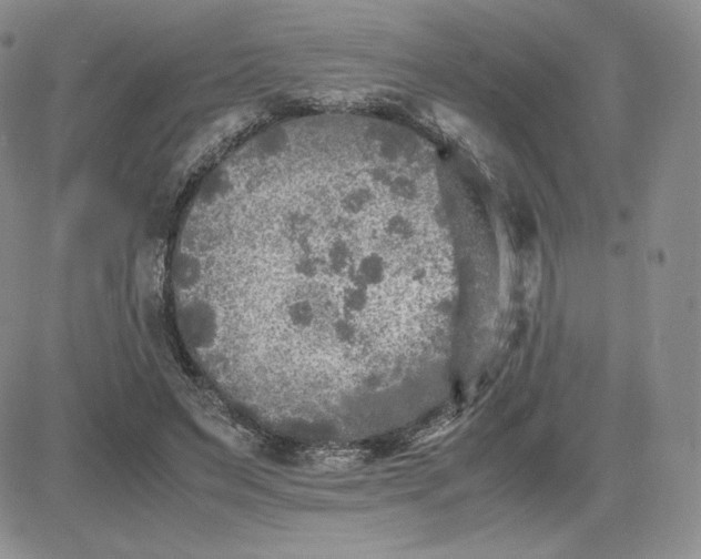 X0000081310495200701251746