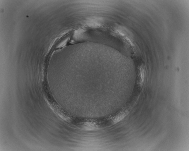 X0000081310496200701251746