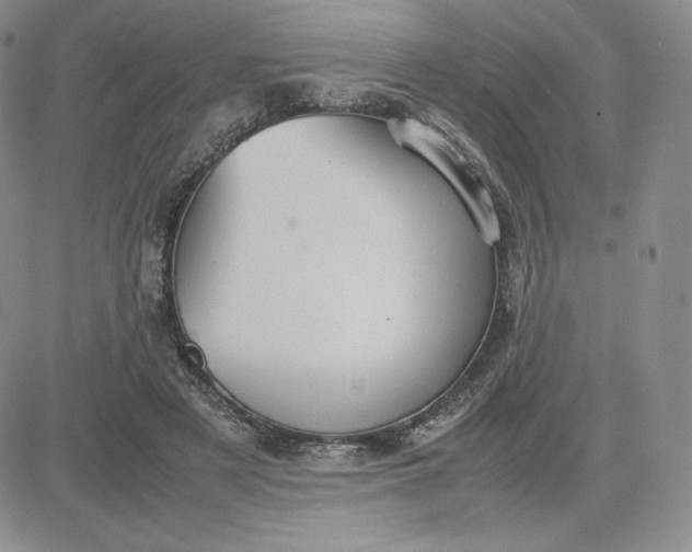 X0000081310497200701251746