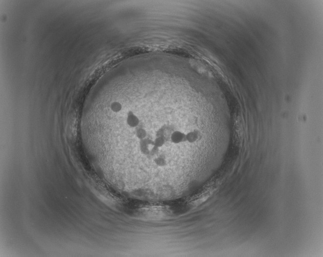 X0000081310499200701251746