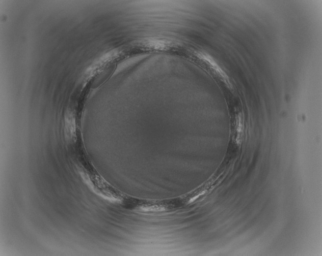 X0000081310500200701251746