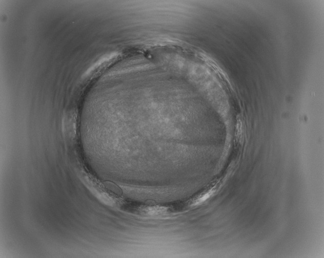 X0000081310501200701251746