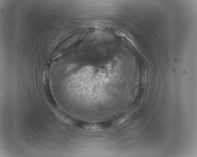 X0000081310503200701251746