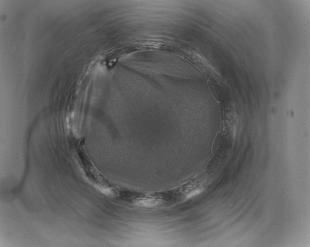 X0000081310504200701251746