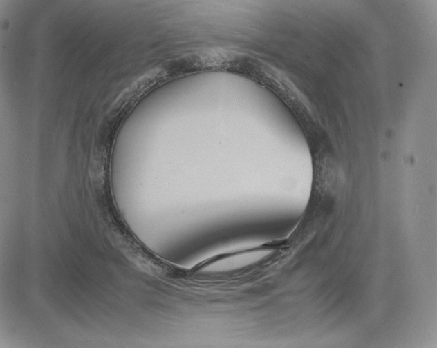 X0000081310505200701251746