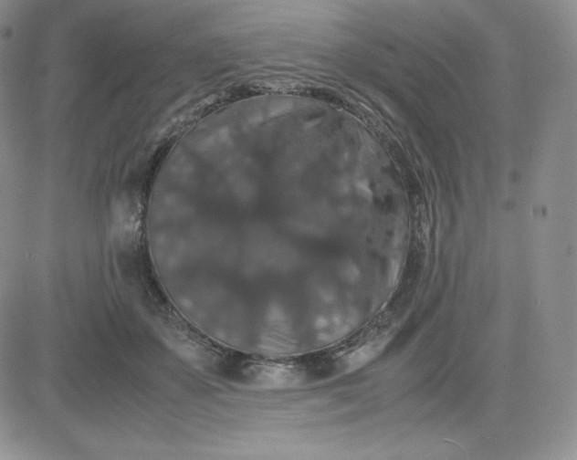 X0000081310507200701251746