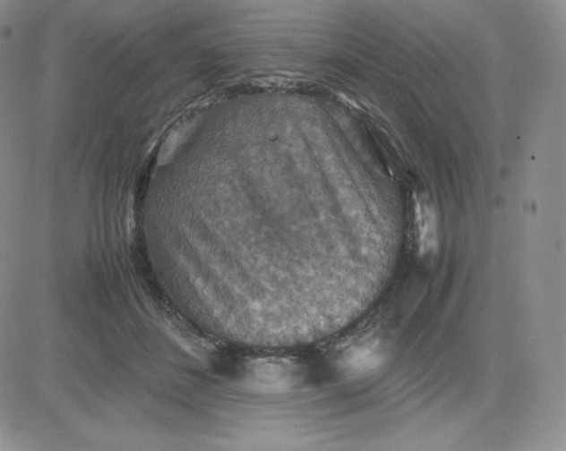 X0000081310508200701251746