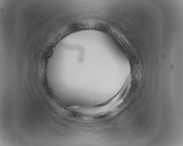 X0000081310509200701251746