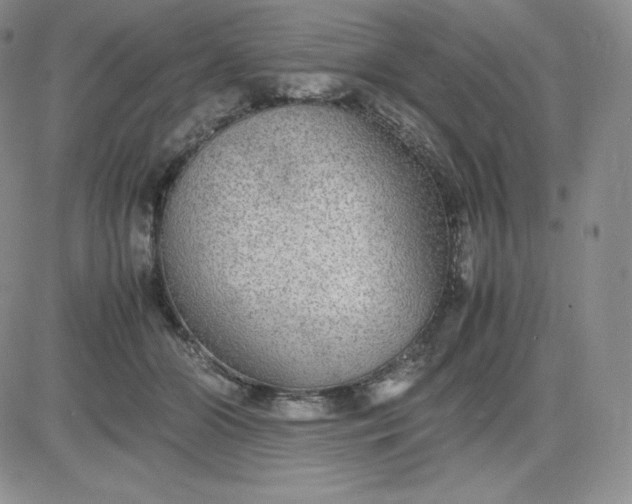 X0000081310510200701251746