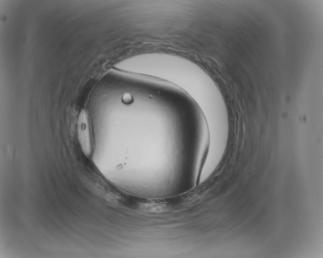 X0000081310511200701251746