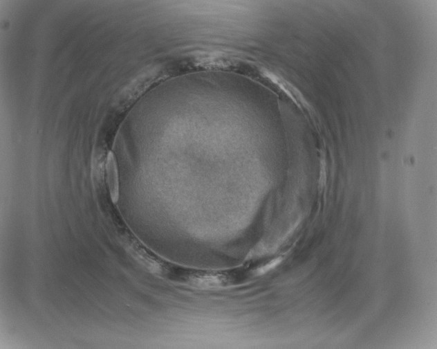 X0000081310513200701251746