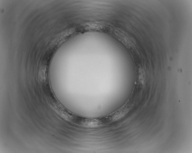 X0000081310514200701251746