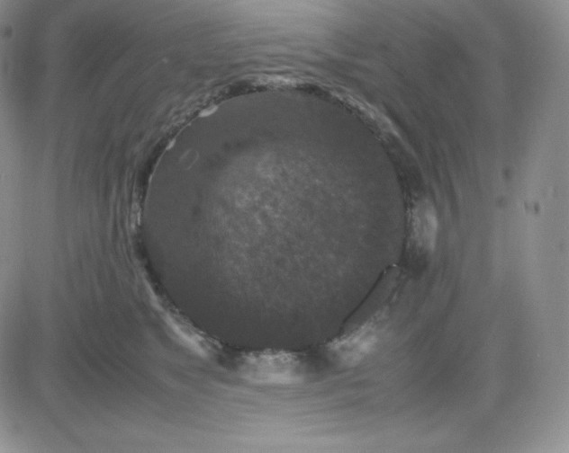 X0000081310517200701251746