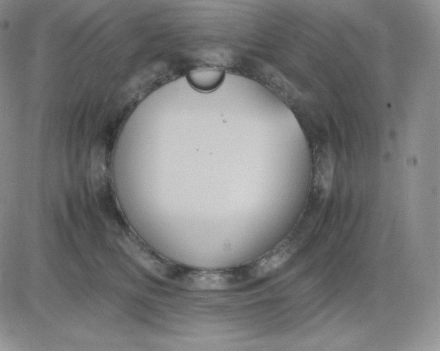 X0000081310518200701251746