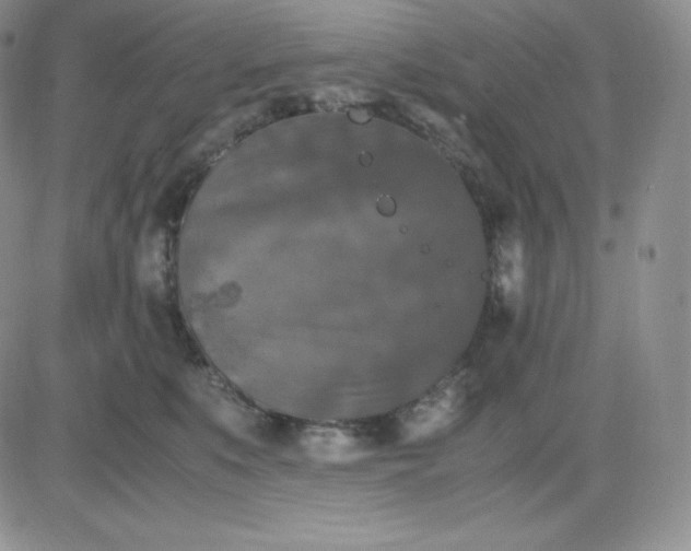 X0000081310519200701251746