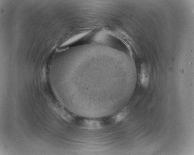 X0000081310520200701251746