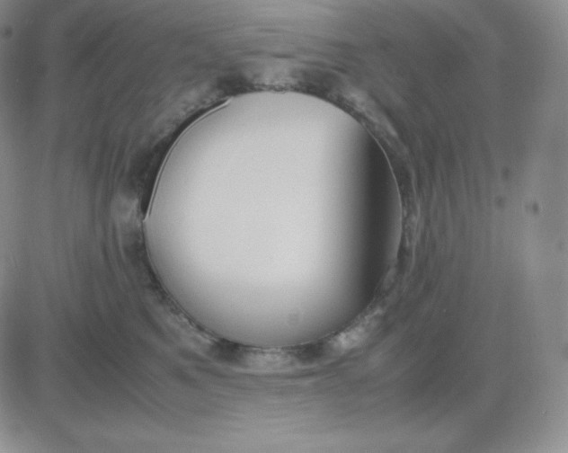 X0000081310521200701251746