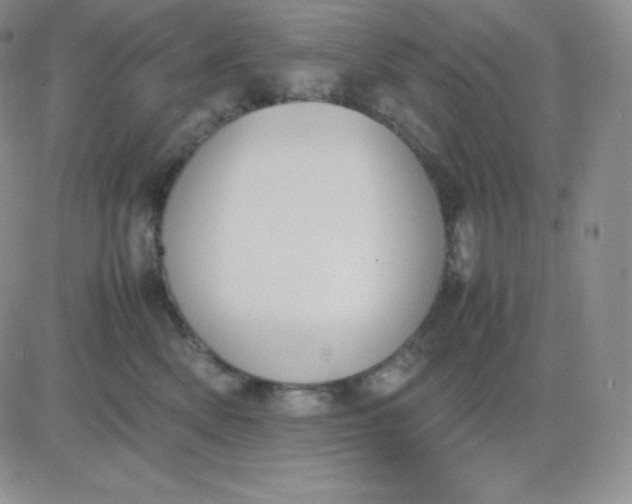 X0000081310522200701251746