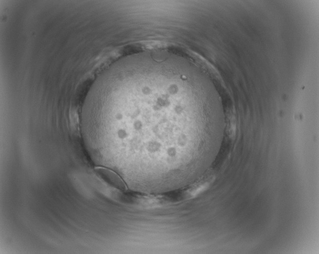 X0000081310523200701251746