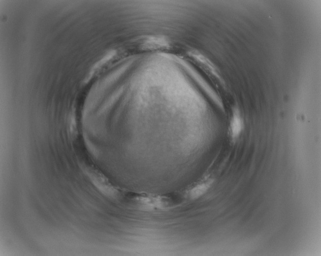 X0000081310524200701251746