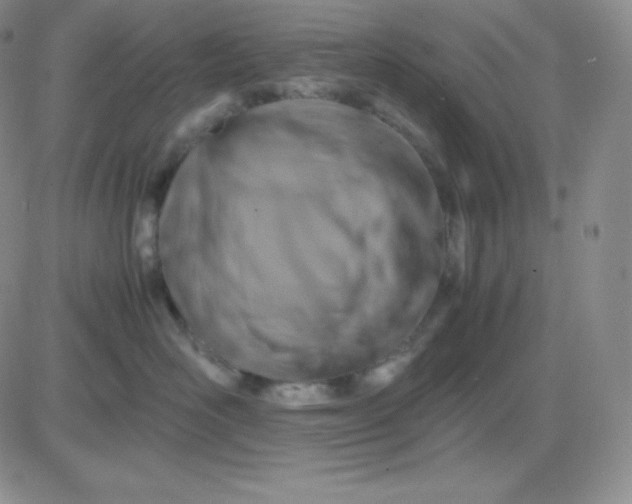 X0000081310526200701251746