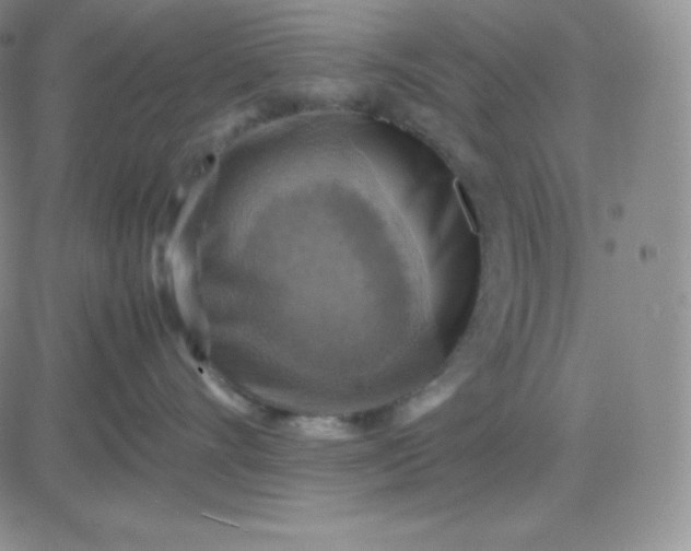 X0000081310528200701251746