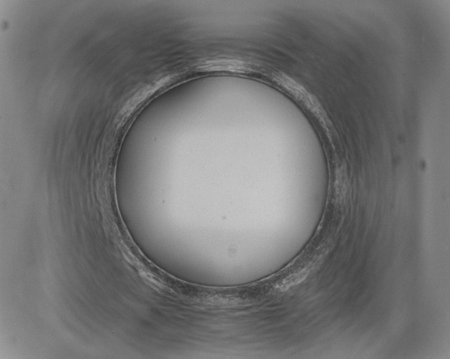 X0000081310529200701251745