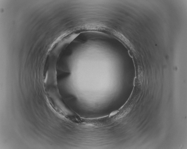 X0000081310530200701251745