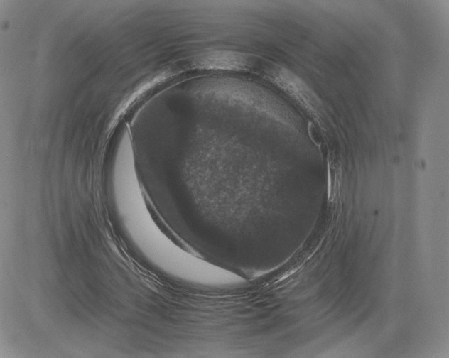 X0000081310531200701251745