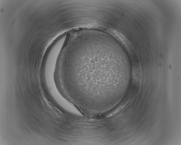 X0000081310532200701251745