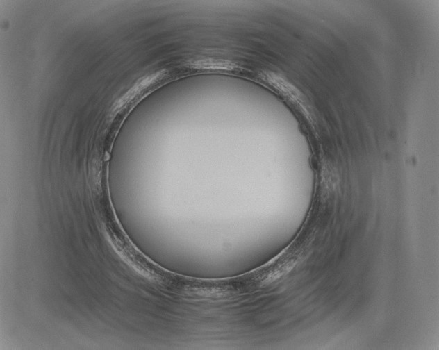 X0000081310533200701251745