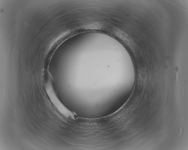 X0000081310535200701251745