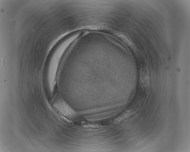 X0000081310536200701251745