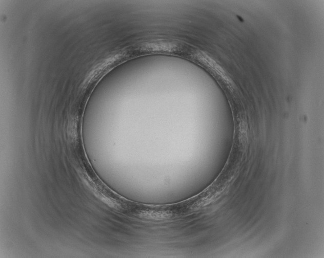 X0000081310537200701251745