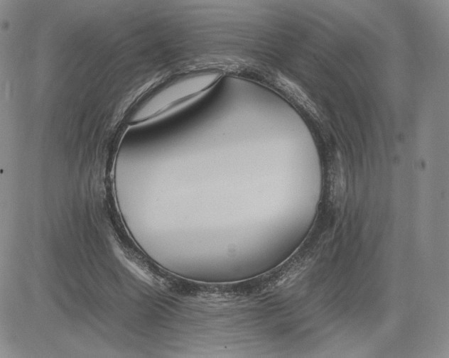 X0000081310538200701251745