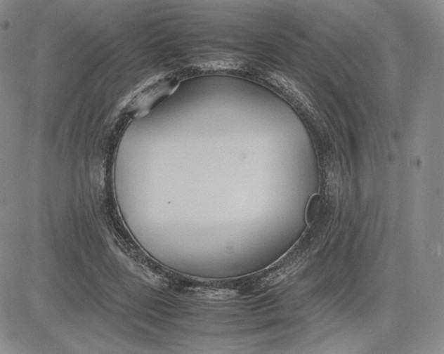 X0000081310539200701251745