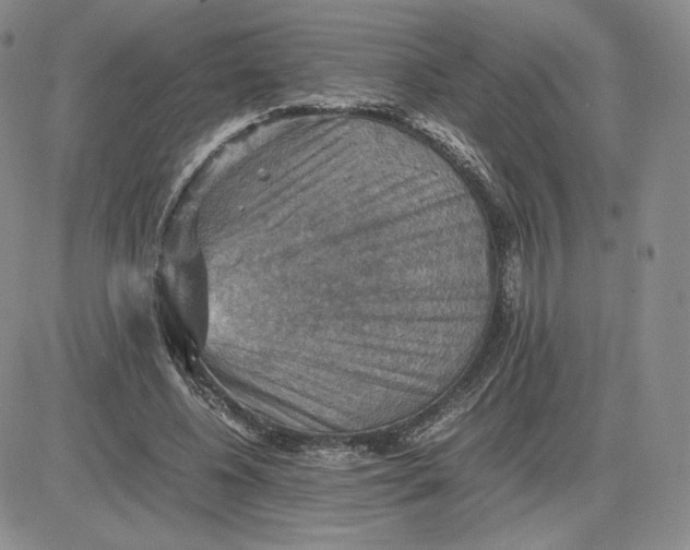 X0000081310540200701251745