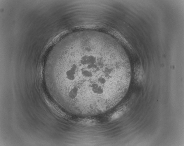 X0000081310542200701251745